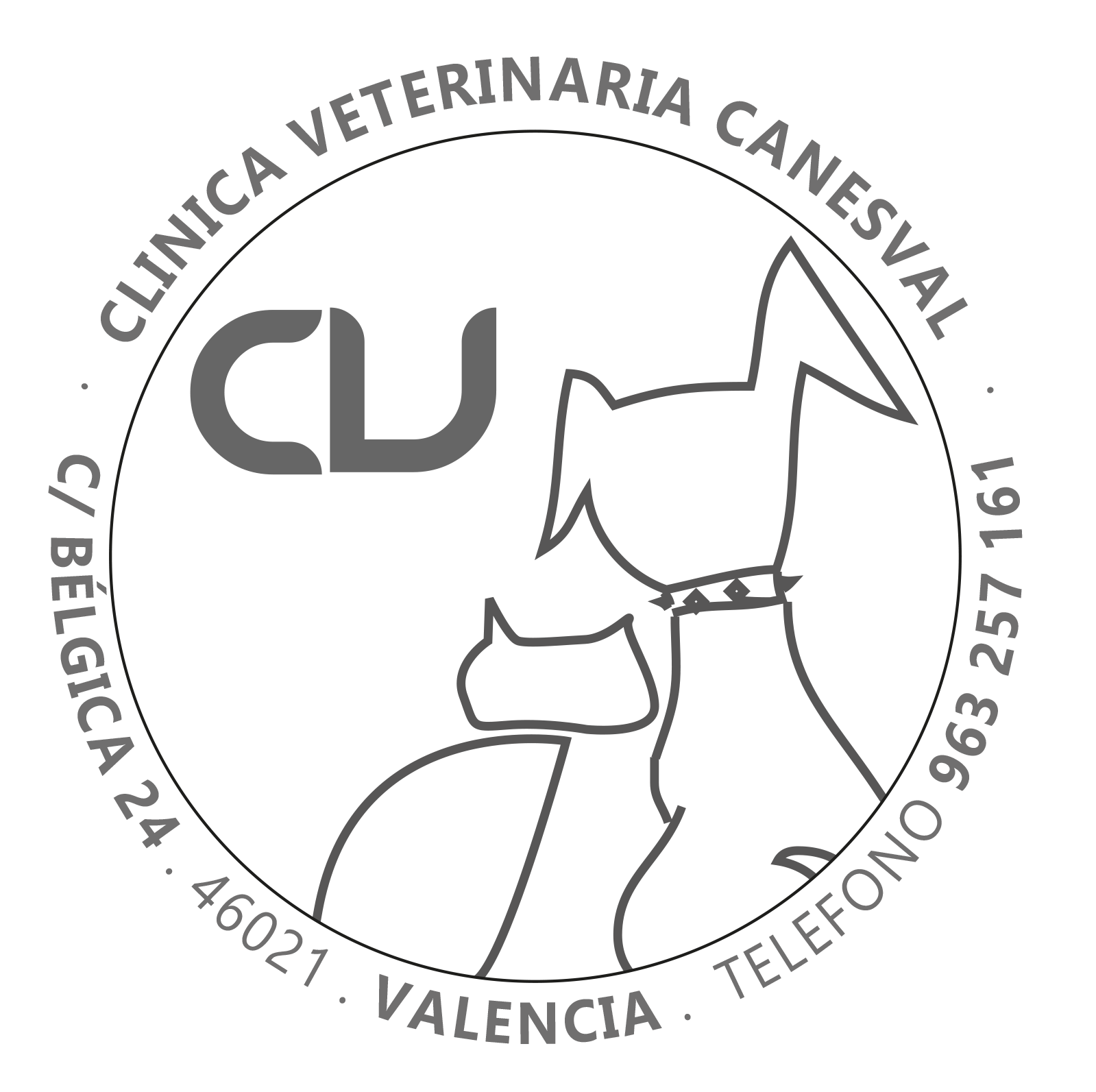 Canesval veterinario en Valencia