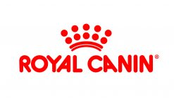 comida perros pienso Royal Canin